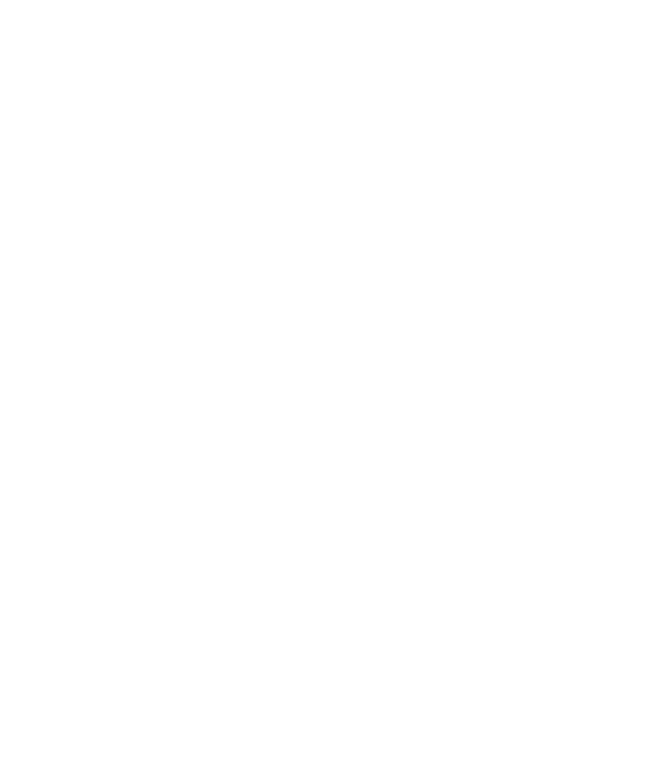 Gesture Recognition Systems Gesture recognition systems