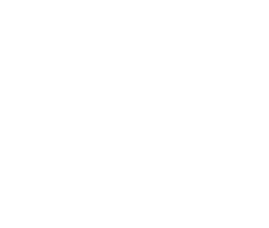 Version Management Systems Version management systems