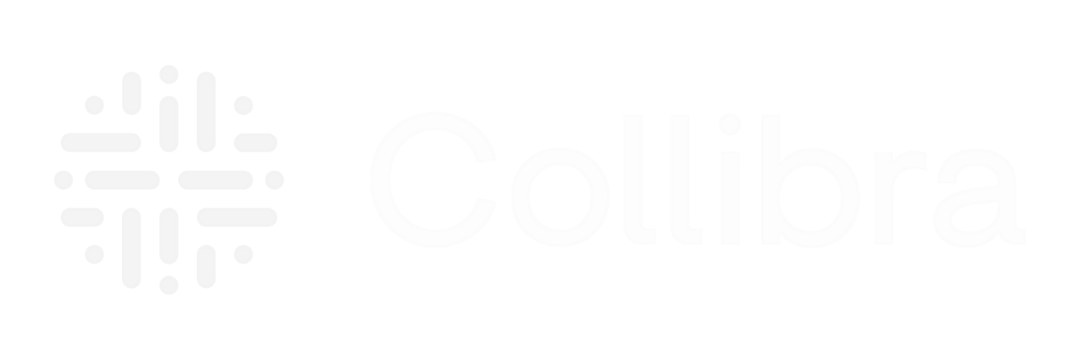 Collibra data governance
