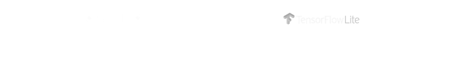 Algoryte Computer Vision Services 12