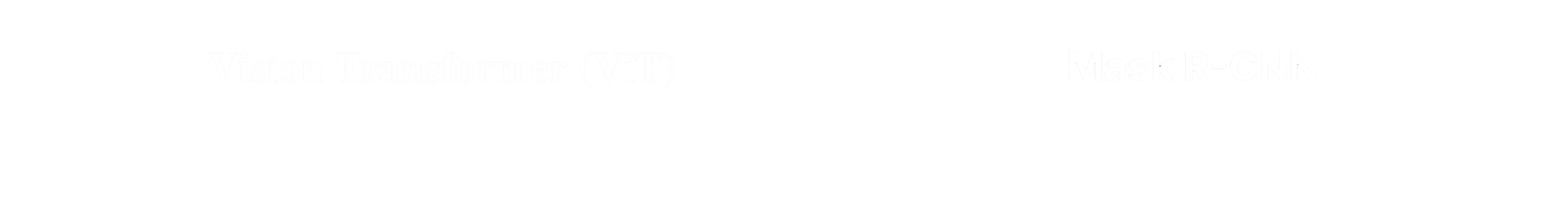 Algoryte Computer Vision Services 6