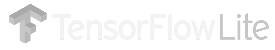TensorFlow Lite model optimization