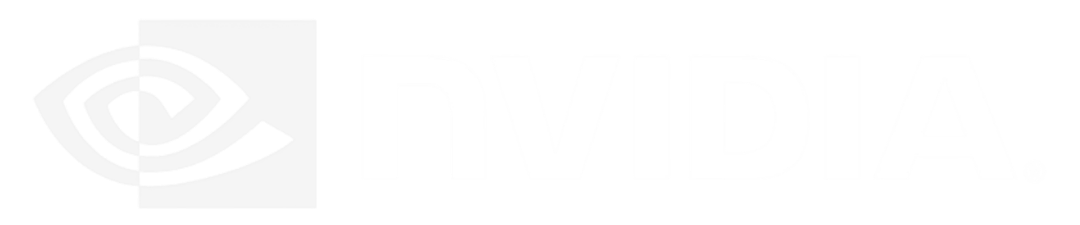 NVIDIA NVIDIA